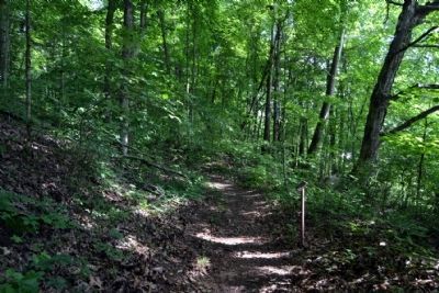 Trail near Dinkey Line Sign image. Click for full size.