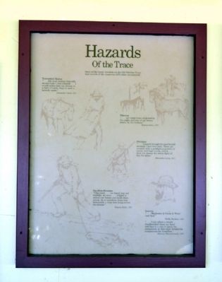 Hazards of the Trace Marker image. Click for full size.