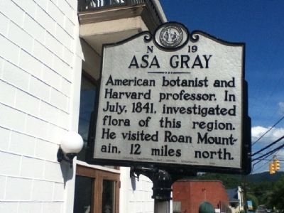 Asa Gray Marker image. Click for full size.