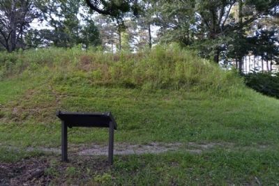 Marker in Front of Owl Creek Mound I image. Click for full size.