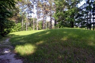 Owl Creek Mound II. Click for full size. Owl Creek Mound II image. Click for full size.