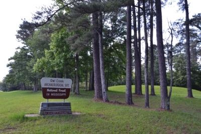 Owl Creek Mounds Archaeological Site. Click for full size. Owl Creek Mounds Archaeological Site image. Click for full size.