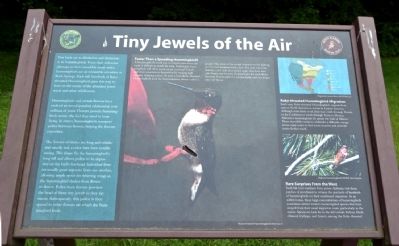 Tiny Jewels of the Air Marker image. Click for full size.