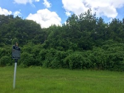 Marker at former 'Bottle' location. image. Click for full size.