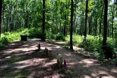 Grave Sites of 13 Unknown Confederates near Marker image. Click for full size.