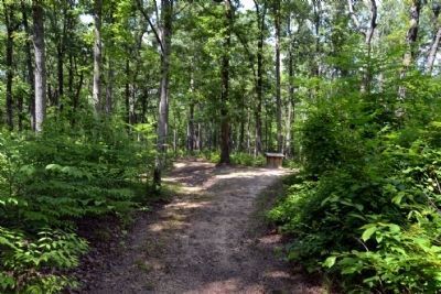 Old Trace Leading to Thirteen Unknown Confederates Marker. Click for full size. Old Trace Leading to Thirteen Unknown Confederates Marker image. Click for full size.