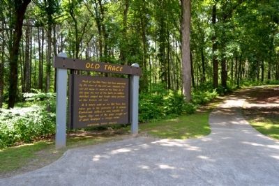 Path to Thirteen Unknown Confederates Marker. Click for full size. Path to Thirteen Unknown Confederates Marker image. Click for full size.