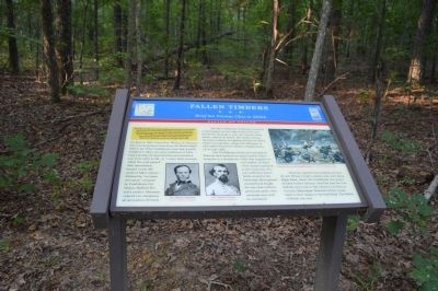 Fallen Timbers Marker image. Click for full size.