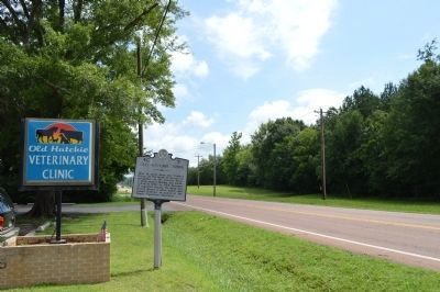 Old Hatchie Town Marker. Click for full size. Old Hatchie Town Marker image. Click for full size.