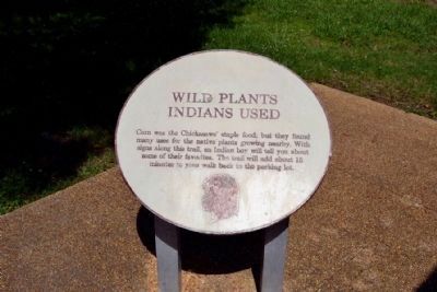 Wild Plants Indians Used Info Sign image. Click for full size.