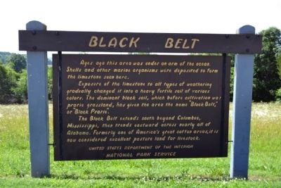 Black Belt Marker. Click for full size. Black Belt Marker image. Click for full size.