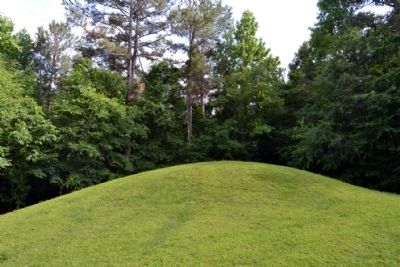 Mound image. Click for full size.