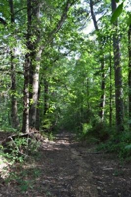 Preserved Section of Old Trace near Marker image. Click for full size.