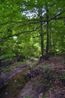 Remnant of Line Creek near Marker image. Click for full size.