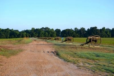 U.S. Battery D, 1st Illinois Light Artillery. Click for full size. U.S. Battery D, 1st Illinois Light Artillery image. Click for full size.