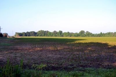 View from Fourteen Mile Creek towards Union Batteries. Click for full size. View from Fourteen Mile Creek towards Union Batteries image. Click for full size.