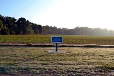 View towards Fourteenmile Creek. Click for full size. View towards Fourteenmile Creek image. Click for full size.