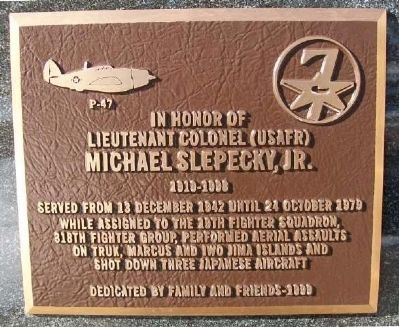 Michael Slepecky, Jr. Marker image. Click for full size.