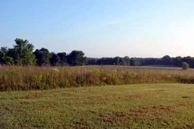 View Towards the Bend in Fourteenmile Creek image. Click for full size.