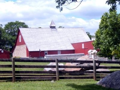Springton Manor Farm-Barn with a goat on a rock. Click for full size. Springton Manor Farm-Barn with a goat on a rock image. Click for full size.
