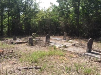 Salem Cemetery behind marker.. Click for full size. Salem Cemetery behind marker. image. Click for full size.