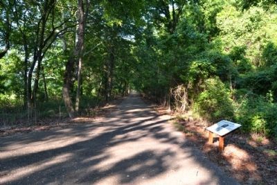 Roadbed of the Little J Railroad. Click for full size. Roadbed of the Little J Railroad image. Click for full size.