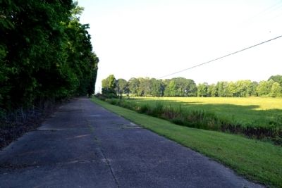 Raymond Military Park Walking Trail image. Click for full size.