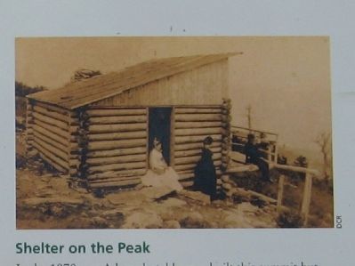 Shelter on the Peak image. Click for full size.