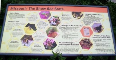 Missouri: The Show <i>Bee</i> State Marker. Click for full size. Missouri: The Show <i>Bee</i> State Marker image. Click for full size.