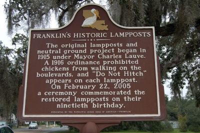Franklin's Historic Lampposts Marker. Click for full size. Franklin's Historic Lampposts Marker image. Click for full size.