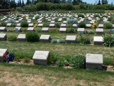 Lone Pine Cemetery. Click for full size. Lone Pine Cemetery image. Click for full size.