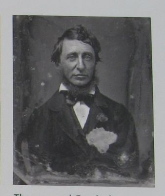 Henry David Thoreau. Click for full size. Henry David Thoreau image. Click for full size.