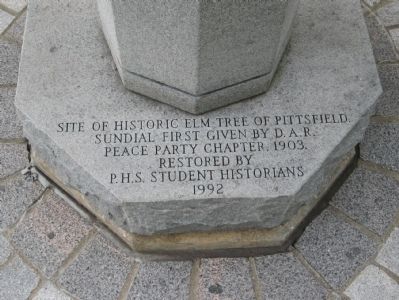 Pittsfield Elm Tree Marker. Click for full size. Pittsfield Elm Tree Marker image. Click for full size.