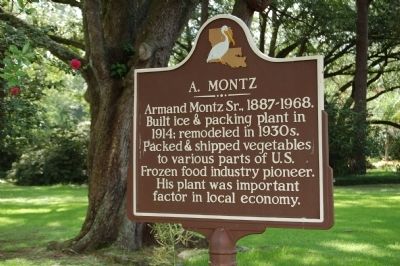 A. Montz Marker image. Click for full size.
