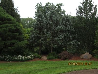 Mt. Airy Forest Marker. Click for full size. Mt. Airy Forest Marker image. Click for full size.