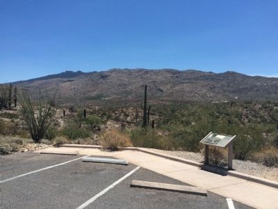 Home for Saguaros Marker image. Click for full size.
