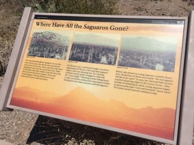 Where Have All the Saguaros Gone? Marker image. Click for full size.
