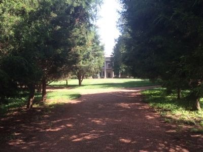 The Hermitage Mansion as seen on the cedar lined drive. image. Click for full size.