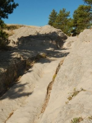 Oregon Trail Ruts image. Click for full size.