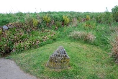 Culloden Battlefield Marker. Click for full size. Culloden Battlefield Marker image. Click for full size.