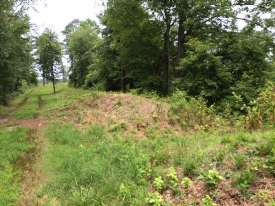 Portion of connecting trenches between Battery 27 and Fort Fisher image. Click for full size.