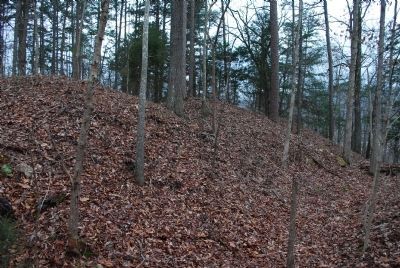 North Line Dalton’s Defenses Marker. Click for full size. North Line Dalton’s Defenses Marker image. Click for full size.