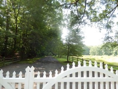 Andalusia-Biddle Lane to Mansion image. Click for full size.