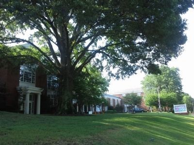 St. Mary's Episcopal School. Click for full size. St. Mary's Episcopal School image. Click for full size.