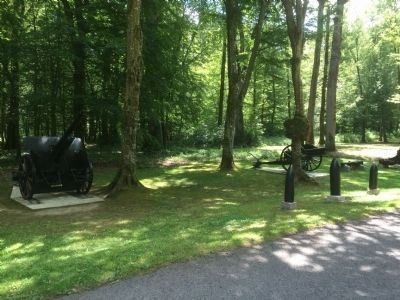 Cannon and Battle Damage in Belleau Wood image. Click for full size.