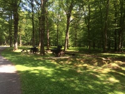 Cannon and Battle Damage in Belleau Wood image. Click for full size.