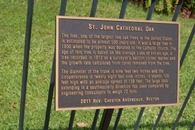 St. John Cathedral Oak Marker. Click for full size. St. John Cathedral Oak Marker image. Click for full size.