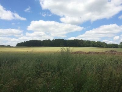 6th Marines attack Belleau Wood from south image. Click for full size.