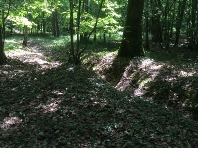 Belleau Wood Battle Damage image. Click for full size.