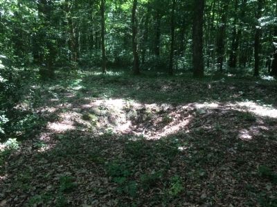 Belleau Wood Battle Damage image. Click for full size.